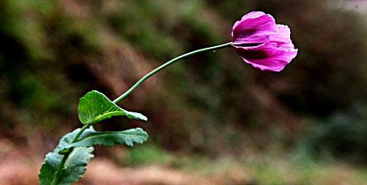 《装甲核心6：境界天火》无缝合作模式MOD即将推出